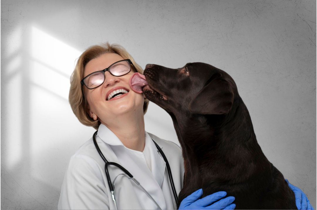 A One Health perspective: COVID-sniffing dogs can be effective and efficient as public health guardians