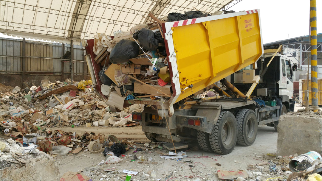 Lithium Batteries Are Setting Recycling Facilities on Fire. Could Detection Dogs Stop Them at the Gate?